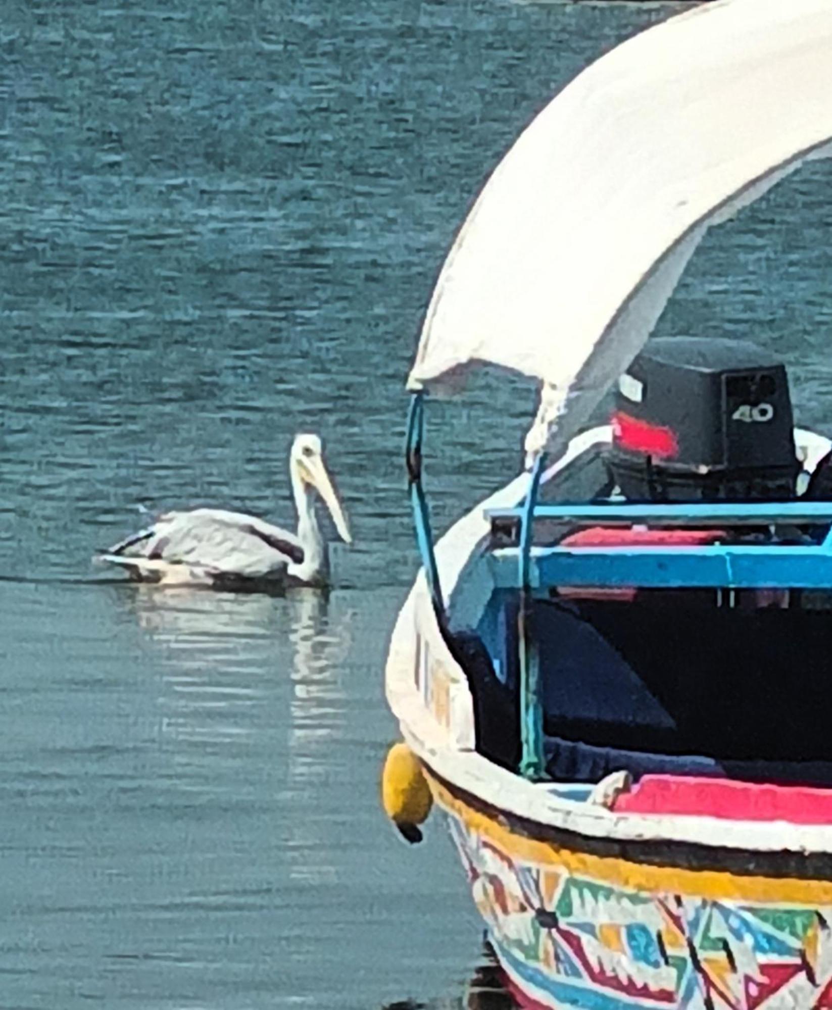 L'Eden Daire Saly Portudal Dış mekan fotoğraf