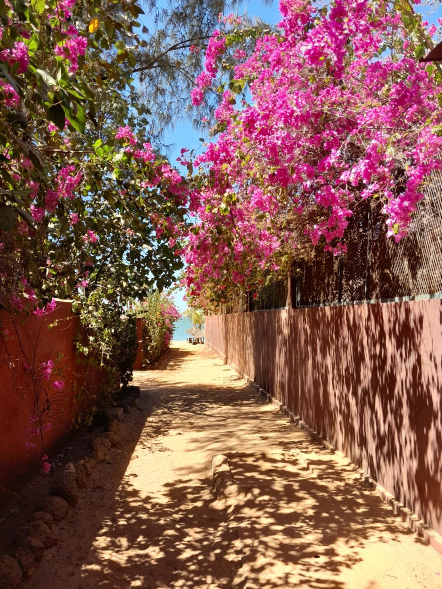 L'Eden Daire Saly Portudal Dış mekan fotoğraf